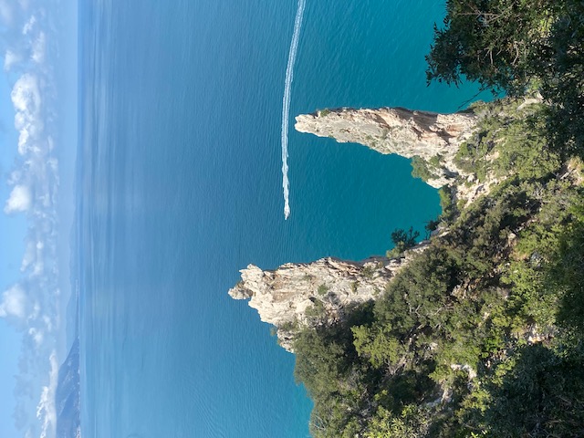 This image for Image Layouts addon